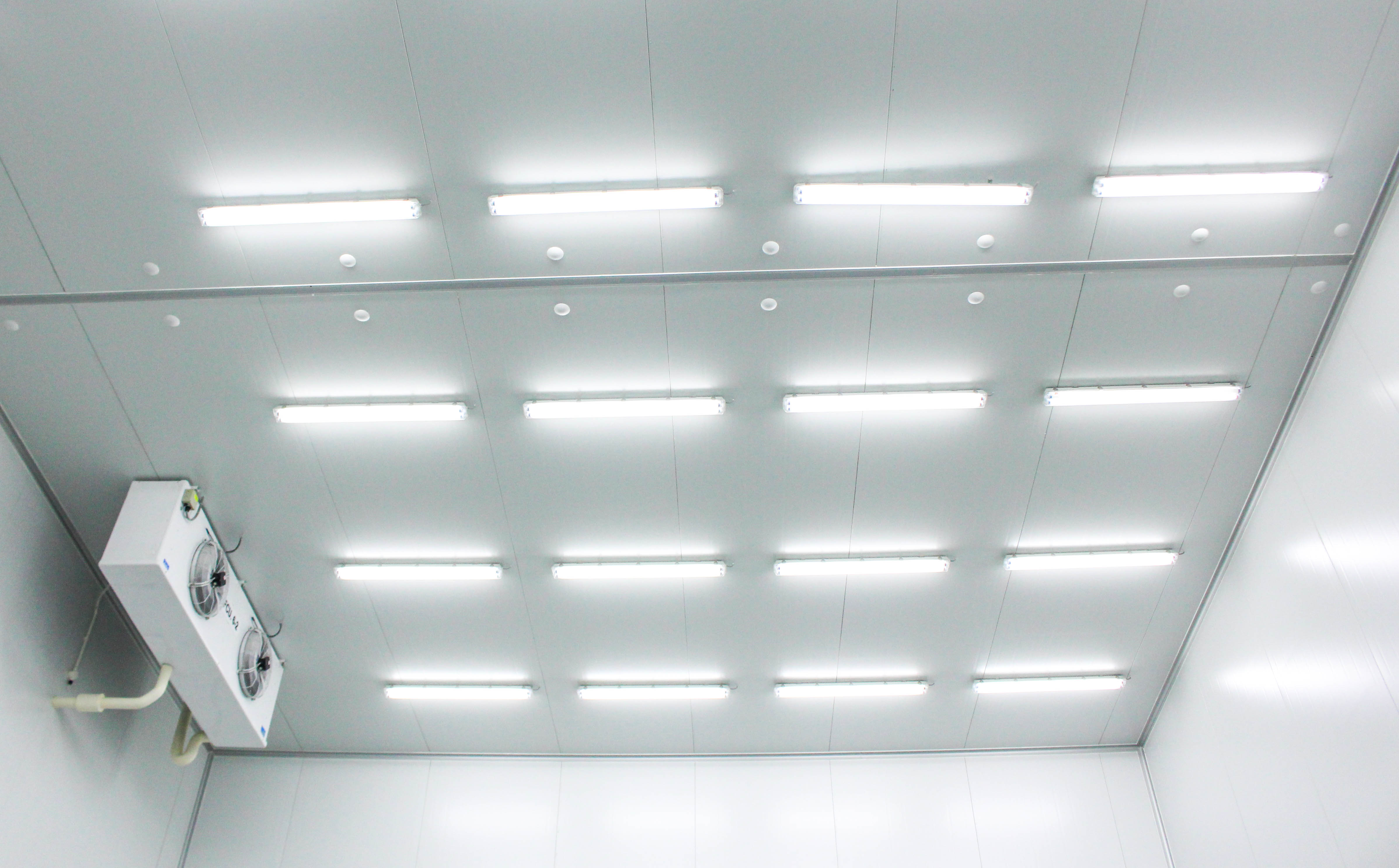 Cold Storage Design